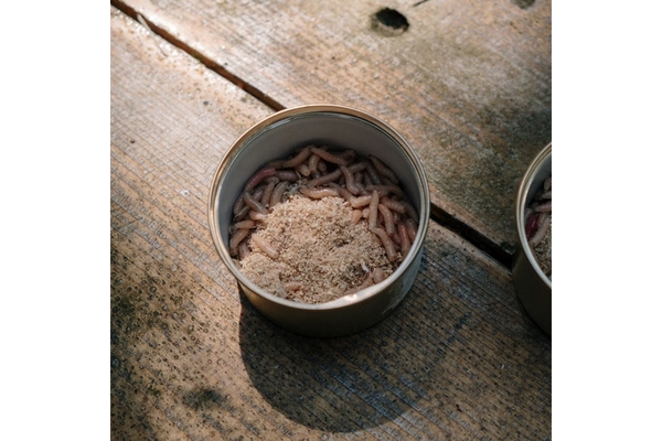Mealworms on a plate.